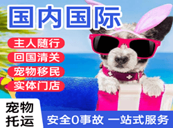 石家庄机场快运国际宠物托运 【国